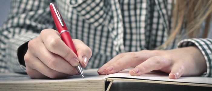 Custom term paper writing services