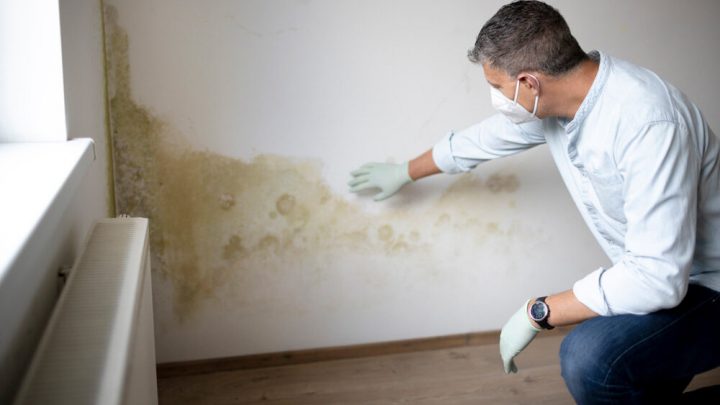 A Guide to Addressing Microbial Growth or Mold in Your Home